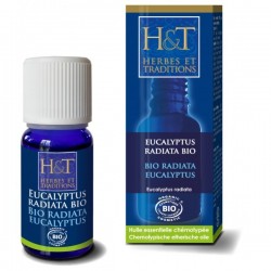Eucalyptus Radiata BIO - 44